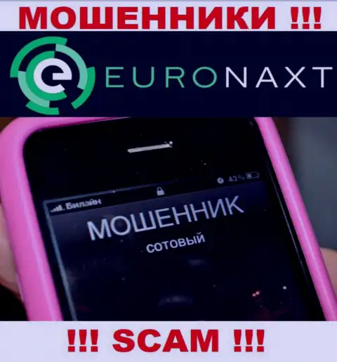 Вас хотят развести на деньги, EuroNax подыскивают новых жертв