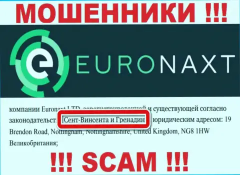 Так как EuroNax имеют регистрацию на территории Saint Vincent and the Grenadines, похищенные вложенные деньги от них не вернуть