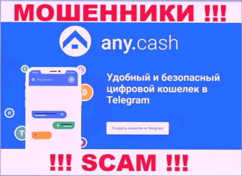 Ани Кеш - это internet-мошенники, их деятельность - Виртуальный кошелёк, направлена на прикарманивание денег наивных клиентов