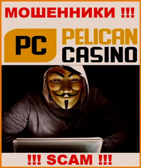 Люди управляющие организацией Pelican Casino предпочли о себе не афишировать