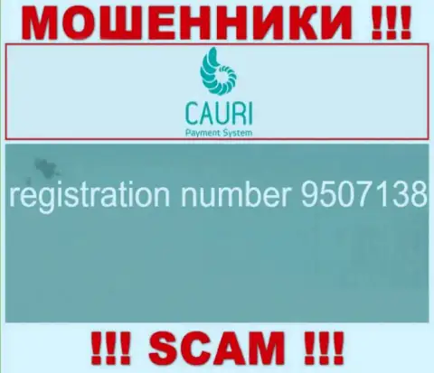 Регистрационный номер, принадлежащий неправомерно действующей компании Каури Ком: 9507138