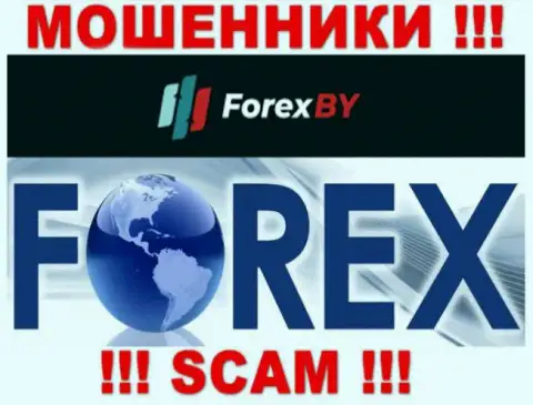 Будьте осторожны, род деятельности Forex BY, Форекс - это обман !