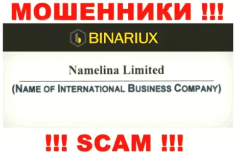 Binariux Net - это интернет-аферисты, а руководит ими Namelina Limited