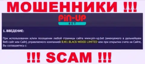 Юридическое лицо компании PinUp Bet - это B.W.I. BLACK-WOOD LIMITED, информация взята с официального интернет-ресурса