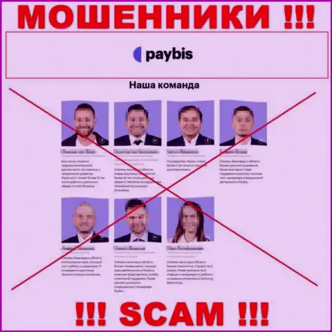 Руководители PayBis, представленные указанной компанией фейковые - это ВОРЫ