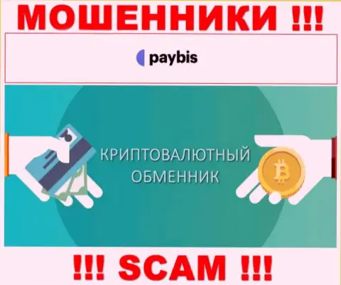 Crypto exchanger - это направление деятельности неправомерно действующей организации PayBis