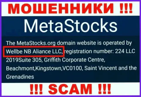 Юридическое лицо конторы MetaStocks - Веллбе НБ Алиансе ЛЛК, инфа взята с официального интернет-портала