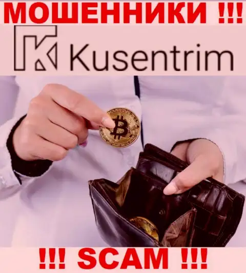 В сети прокручивают делишки мошенники Kusentrim Com, тип деятельности которых - Криптовалютный кошелек