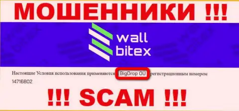 WallBitex - это АФЕРИСТЫ !!! Управляет этим лохотроном BigDrop OÜ