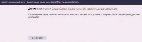 Организация Cauvo Capital описана в отзыве на веб-сайте Ревокон Ру