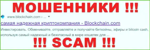 Blockchain - это МОШЕННИКИ ! SCAM !!!